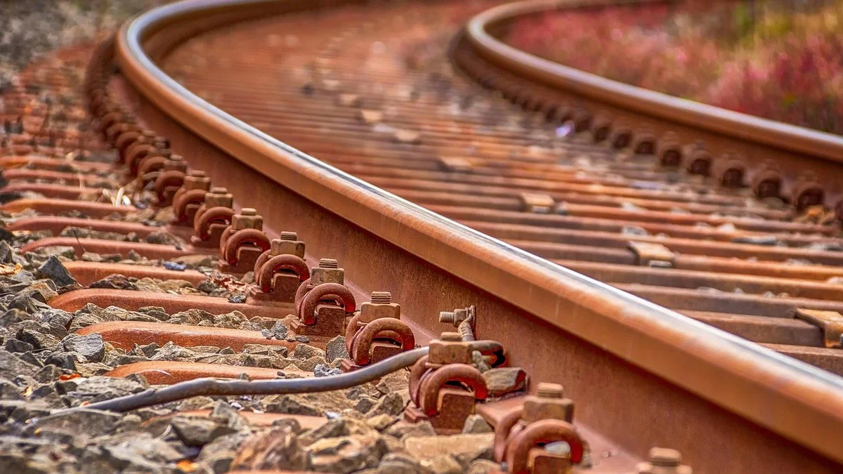 鲁特肯豪斯800米爆冷夺胜：替补深度与轮换效率观察